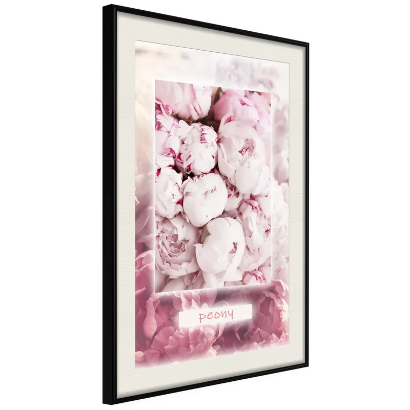 Poster - Scent of Peonies - zwart passepartout